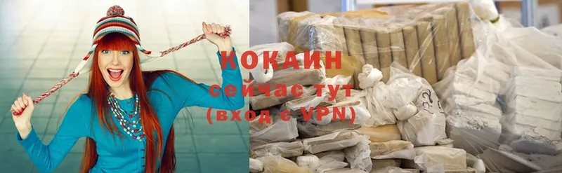 Cocaine Fish Scale  как найти   Димитровград 