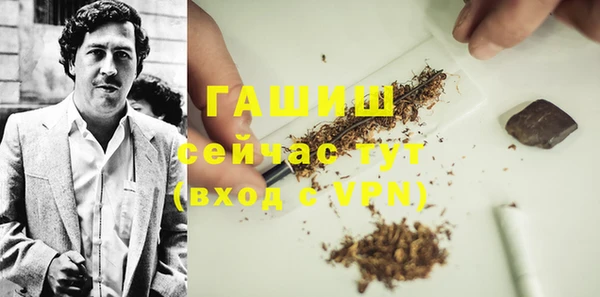 сатива Калининец
