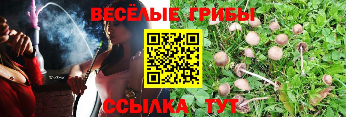 Псилоцибиновые грибы мицелий Димитровград
