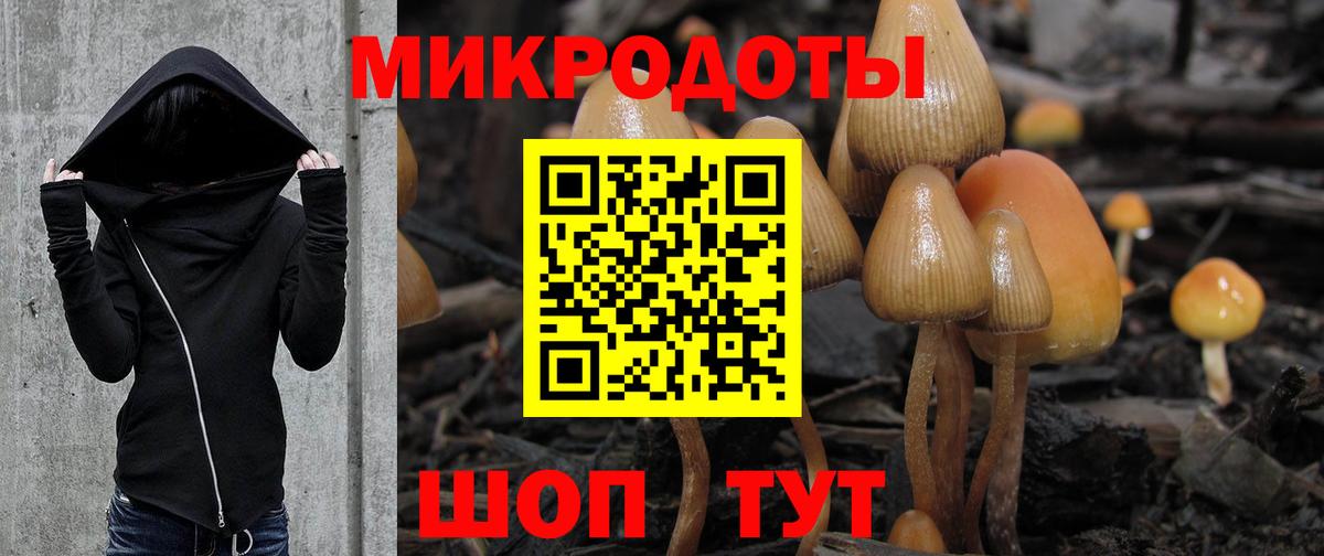 Галлюциногенные грибы мухоморы  Псилоцибиновые грибы Cubensis  Димитровград  Вход с VPN 