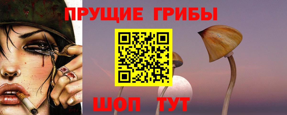 Галлюциногенные грибы Magic Shrooms  сколько стоит  Димитровград 